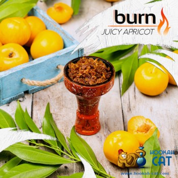 Заказать кальянный табак Burn Juicy Apricot (Берн Абрикос) 25г онлайн с доставкой всей России